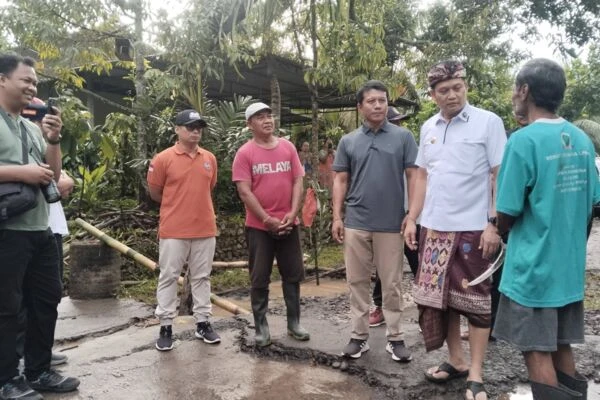 Camat Melaya dampingi Bupati Jembrana pengecekan jalan rusak di Melaya.