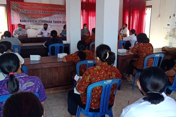 SOSIALISASI GERAKAN HATINYA PKK DI DESA WARNASARI